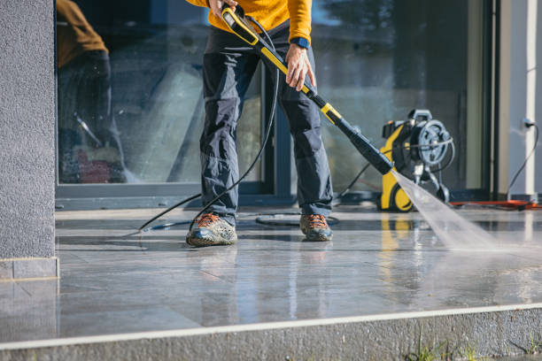Best Roof Washing  in Spicer, MN
